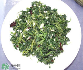 曲曲菜怎么吃？曲曲菜的吃法