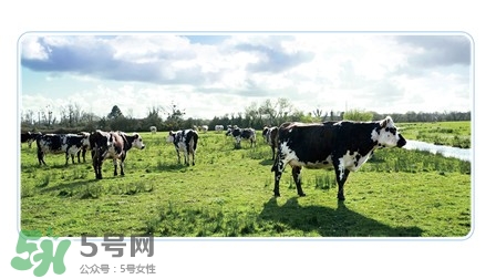 健康時(shí)光有機(jī)奶粉怎么樣？健康時(shí)光有機(jī)奶粉如何？