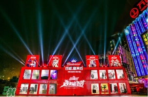 百威啤酒多少錢一瓶？百威啤酒價格