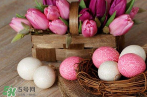 復(fù)活節(jié)怎么過？復(fù)活節(jié)可以做什么？