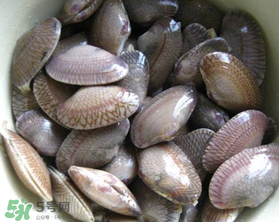 花甲可以放冰箱嗎？花甲放冰箱能放多久？