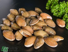 花甲可以放冰箱嗎？花甲放冰箱能放多久？