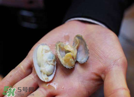 花甲怎么養(yǎng)不會死？花甲怎么養(yǎng)到用第二天？