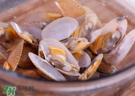 花甲怎么養(yǎng)不會死？花甲怎么養(yǎng)到用第二天？