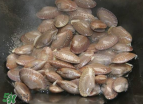 花甲不開口怎么辦？怎么讓花甲開口？