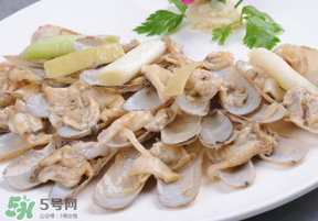 花甲怎么保存不會死？花甲怎么保存到次日？