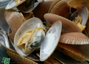 花甲怎么洗才沒沙？花甲怎么洗才干凈？