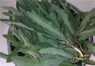 曲曲菜和花菜相克嗎？曲曲菜不能和花菜一起吃嗎？