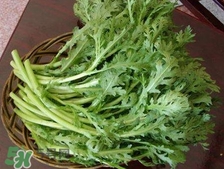 茼蒿怎么種？ 茼蒿的種植方法和時間