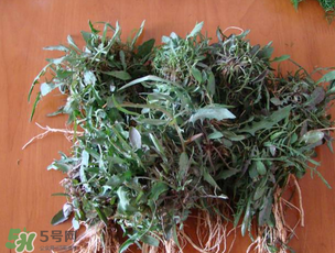 曲曲菜是苦菜嗎？曲曲菜和苦菜有什么區(qū)別？