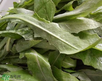 曲曲菜能炒雞蛋吃嗎？曲曲菜可以炒雞蛋嗎？