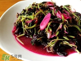 莧菜怎么摘？莧菜怎么處理