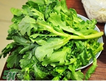 茼蒿怎么種？ 茼蒿的種植方法和時間