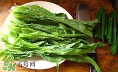 萵苣葉是什么？生菜是不是萵苣葉子