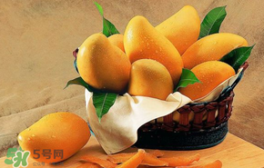 花甲可以和芒果同吃嗎？吃完花甲可以吃芒果嗎？