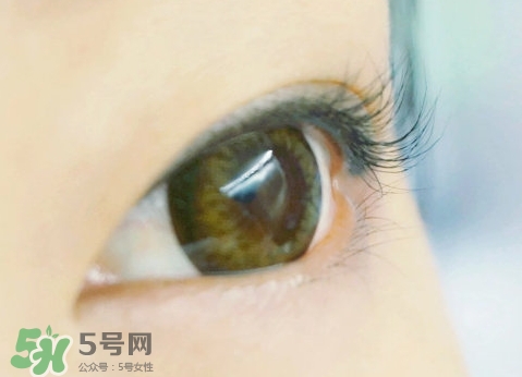 貝印和muji睫毛夾哪個好？貝印和無印良品睫毛夾對比