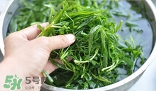 掃帚菜怎么做好吃？掃帚菜怎么吃好吃