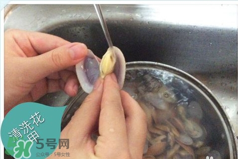 芒果螺怎么清洗？芒果螺怎么吃
