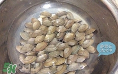 芒果螺怎么清洗？芒果螺怎么吃