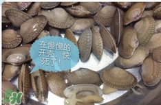 芒果螺怎么清洗？芒果螺怎么吃