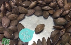 芒果螺怎么清洗？芒果螺怎么吃