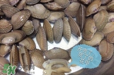 芒果螺怎么清洗？芒果螺怎么吃