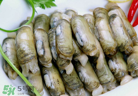 蟶子不能和什么一起吃？蟶子和什么不能一起吃？