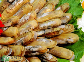 蟶子不能和什么一起吃？蟶子和什么不能一起吃？