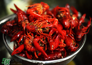 月經(jīng)可以吃油燜大蝦嗎？經(jīng)期能吃油燜大蝦嗎？