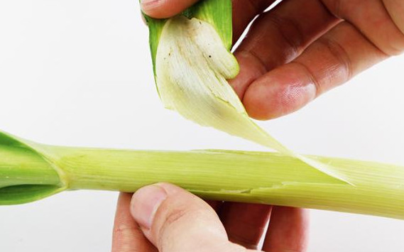 蒜苗怎么摘？蒜苗怎么處理