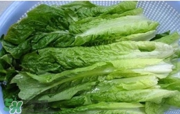 萵苣葉怎么吃？萵苣葉怎么做好吃