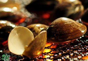 花甲不開口能吃嗎？花甲不開口是不是死了？