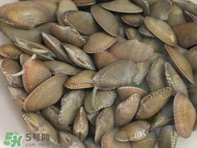 如何辨別花甲的死活？怎么辨別花甲的死活？