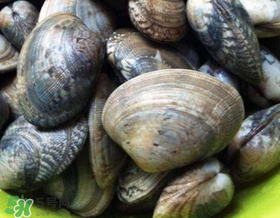 如何辨別花甲的死活？怎么辨別花甲的死活？