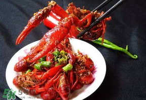 龍蝦什么時候上市？龍蝦幾月份上市？