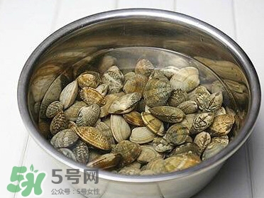 芒果螺孕婦能吃嗎？芒果螺孕婦可以吃嗎