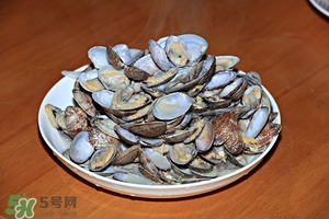 芒果螺怎么清洗？芒果螺怎么吃