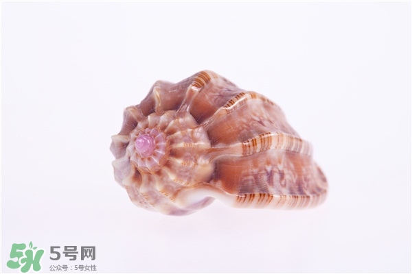 海螺的尾部能吃嗎？海螺的尾巴可以吃嗎