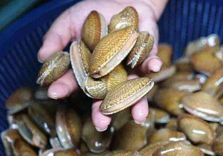 花甲張開是不是死了？花甲開口是不是死了？