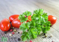 四月份可以種香菜嗎？四月份還能種香萊嗎？