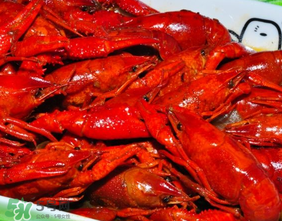 龍蝦為什么變紅？為什么龍蝦煮熟后會變紅？