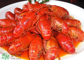 小龍蝦為什么那么貴？小龍蝦怎么這么貴？