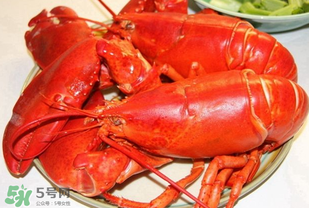 龍蝦怎么保存不會(huì)死？龍蝦怎么保存才新鮮？