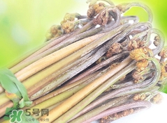蕨菜要煮多久?蕨菜要煮多長時(shí)間? 蕨菜要煮多久?蕨菜要煮多長時(shí)間?
