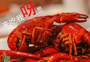 煮熟的小龍蝦隔夜能吃嗎？煮熟的小龍蝦能放多久？