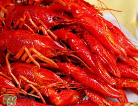 龍蝦發(fā)苦怎么回事？龍蝦發(fā)苦能吃嗎？