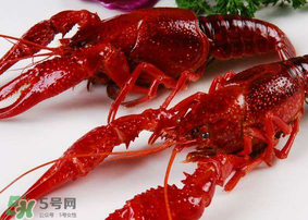 龍蝦發(fā)苦怎么回事？龍蝦發(fā)苦能吃嗎？