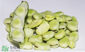 蠶豆為什么小孩不能吃？小孩為什么不能吃蠶豆？