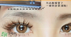 貝印修眉刀紅色和藍色那個好？貝印修眉刀紅色和藍色區(qū)別