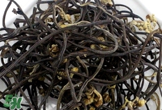 蕨菜干不能和什么一起吃?蕨菜干食用禁忌 蕨菜干不能和什么一起吃?蕨菜干食用禁忌